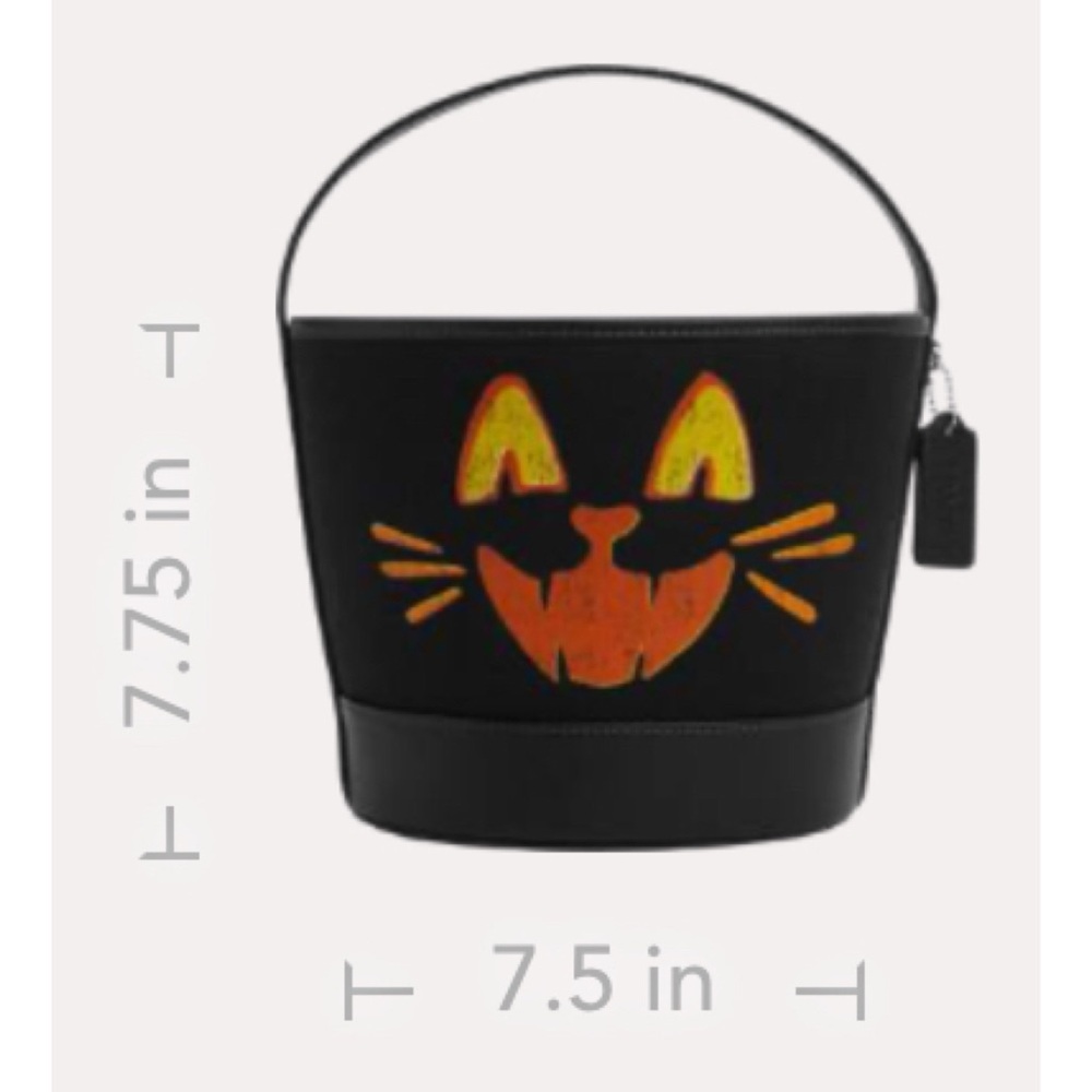 COACH HALLOWEEN CAT Trick Or Treat Bucket In Regenerative Cotton - Picture 3 of 4